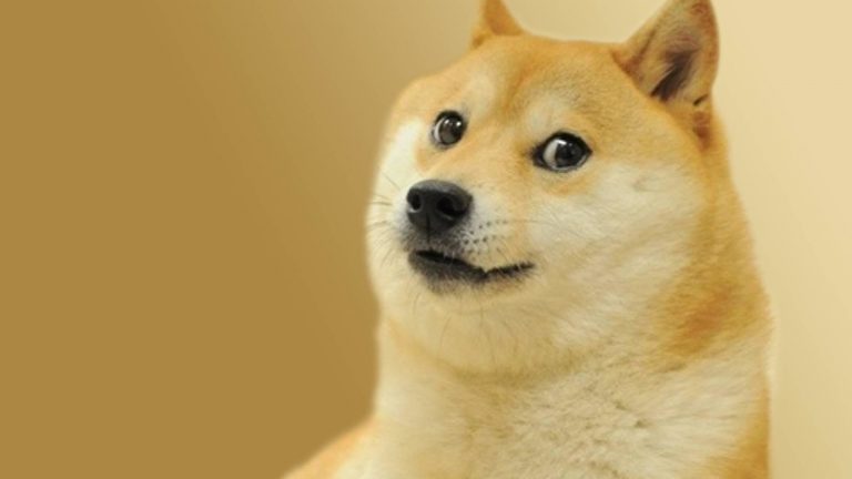 BREAKING: Ethereum-Erfinder Vitalik Buterin lässt Hunde-Token (Shiba Inu, Akita Inu) abstürzen