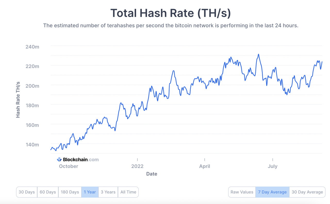 Bitcoin Hashrate 1 Jahr