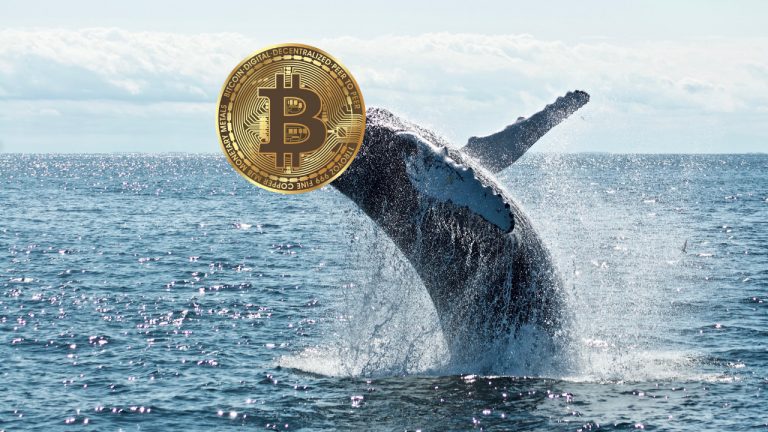 Warum akkumulieren Wale nach dem Krypto-Crash Bitcoin?