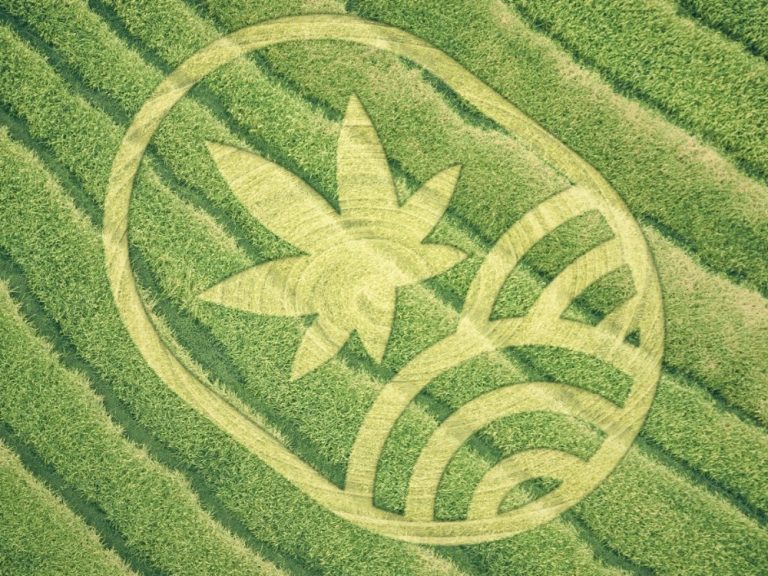 Deutsches Start-up bereit, die Cannabis-Landschaft grundlegend zu verändern!