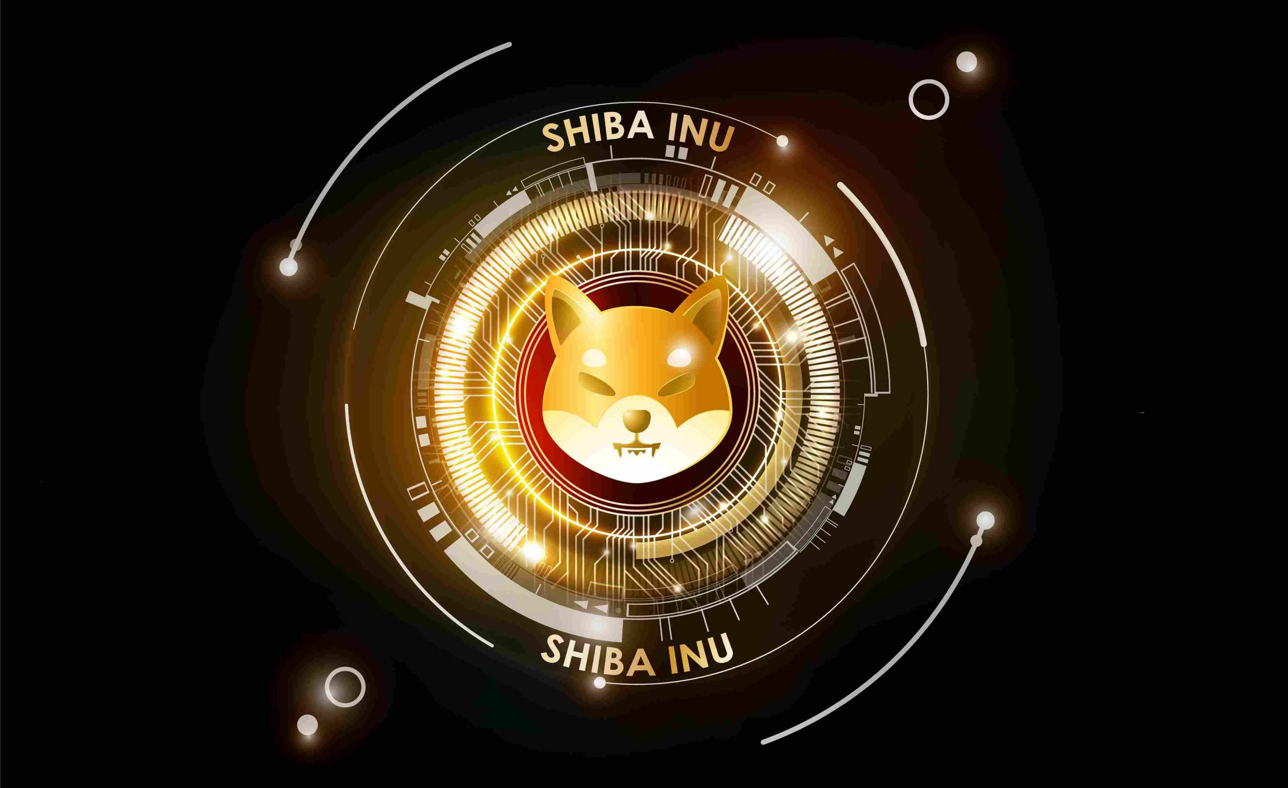 Meme Coins, Shiba Inu