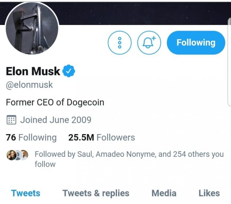 Elon Musk – Plötzlich Chef der Kryptowährung Dogecoin?