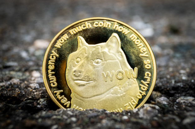 Dogecoin Höhenflug: Spaß-Coin auf einmal Top-Performer
