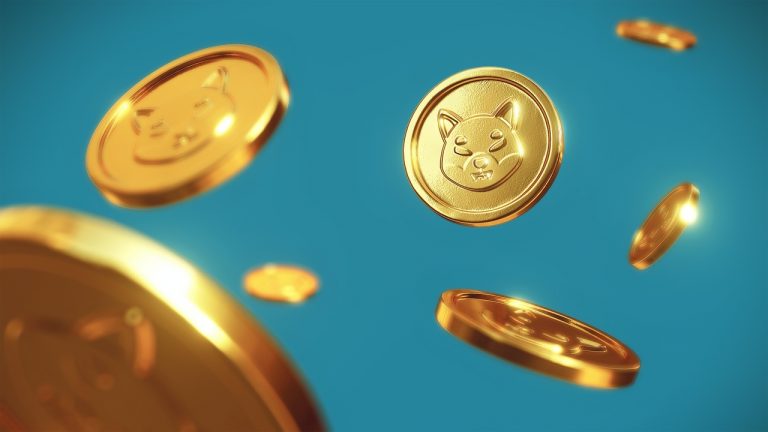 Sollte ich den Shiba Inu Coin im Bärenmarkt kaufen und kann ich damit reich werden?