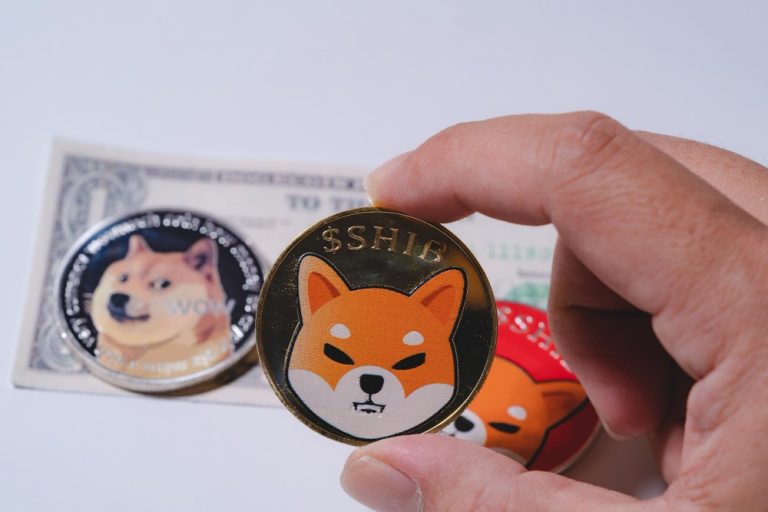 Shiba Inu Prognose – Gescheiterte Konkurrenz zum Dogecoin?
