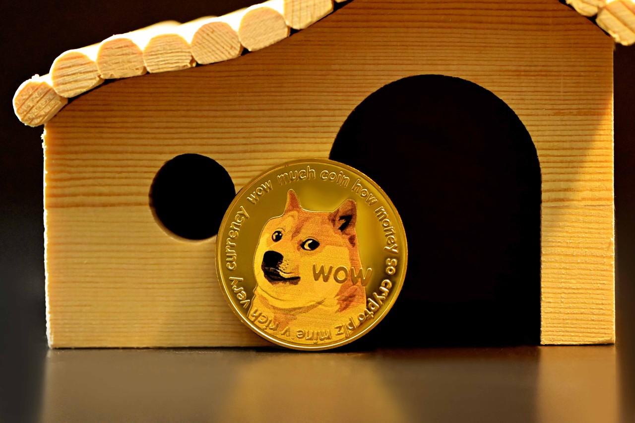 Wie viel ist der Dogecoin im Jahr 2030 wert? – Die große Dogecoin Prognose für das Jahrzehnt
