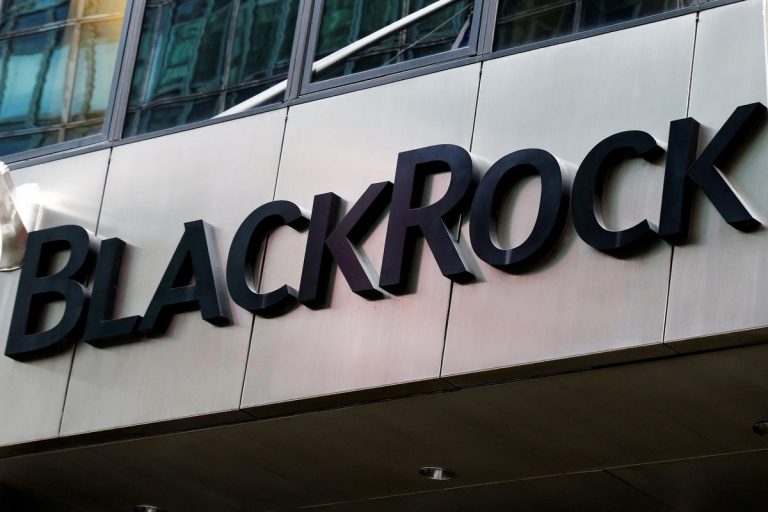 BlackRock CEO: Bitcoin könnte ein Wertspeicher sein, aber Markt noch sehr klein