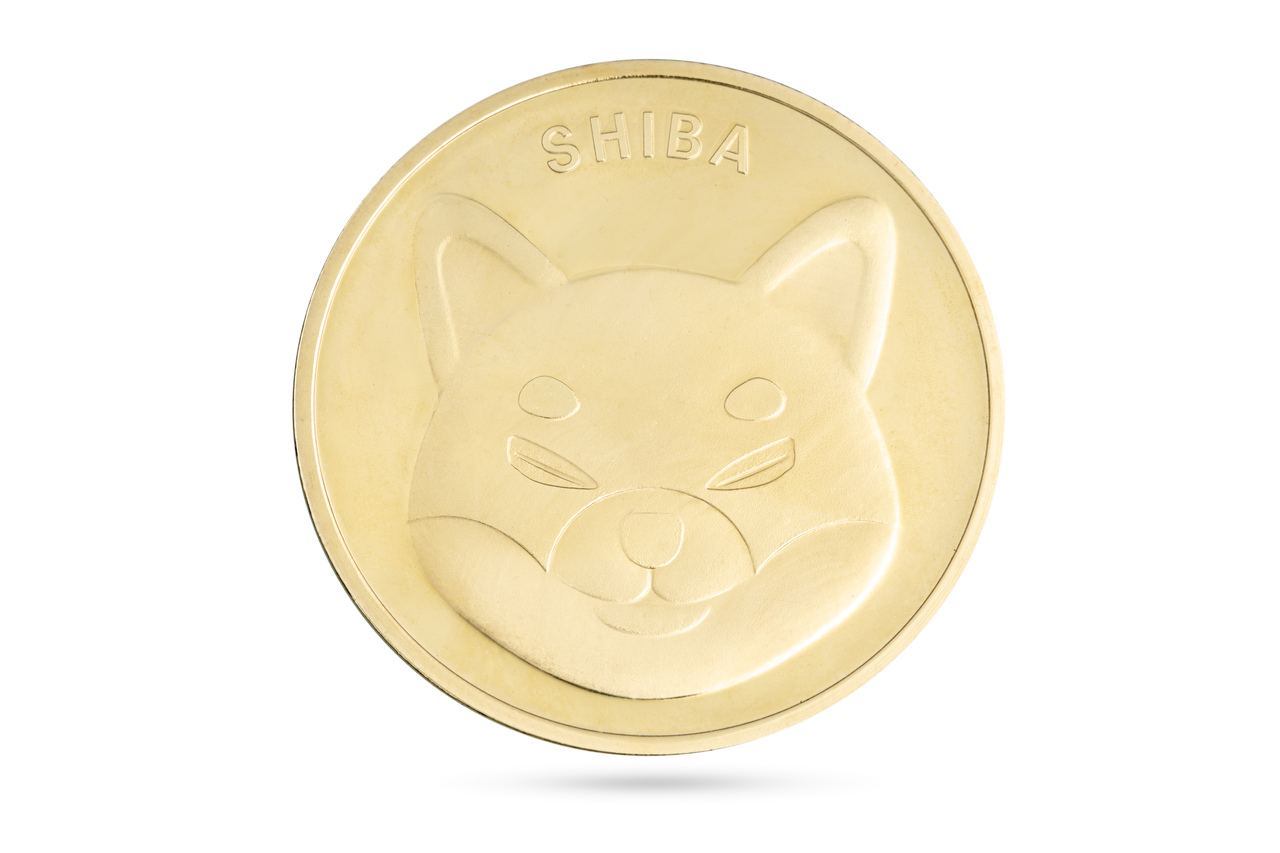 Shiba Inu Coin