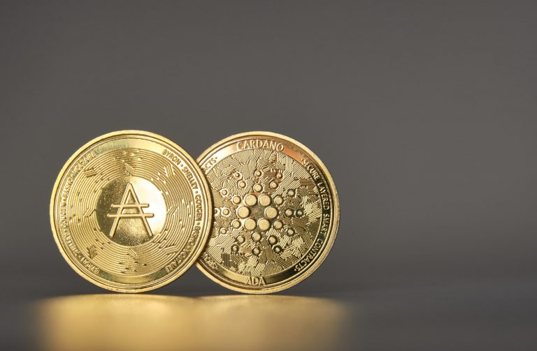 Wie sieht die Zukunft vom Cardano Coin aus? – Die beste Kryptowährung zum Investieren?