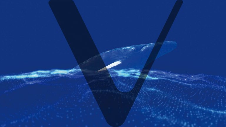 VeChain Names OceanEx CEO As Lead Advisor