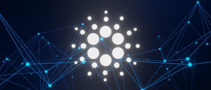 Why is Cardano Price DOWN? Don’t get FOOLED!