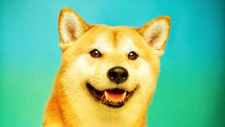 Dogecoin COMEBACK: DOGE Price crosses 10 cents, Where NEXT?