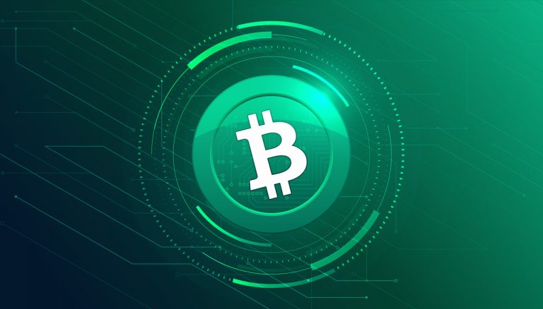Bitcoin Cash (BCH): Detailed Analysis and Future Outlook