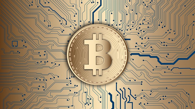 What is Virgin Bitcoin? All you need to know