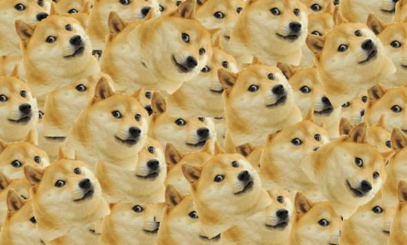 "Doges....Doges everywhere"