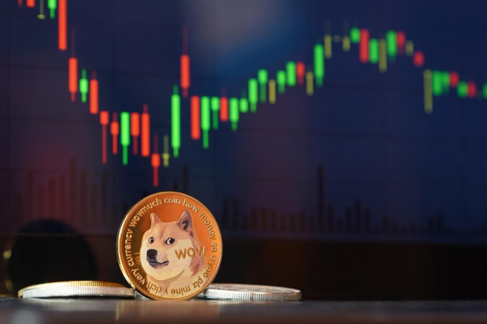 Dogecoin price can make you Profit 100%, here’s how!