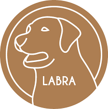 Labracoin – A Dog meme crypto coin wagging all the way