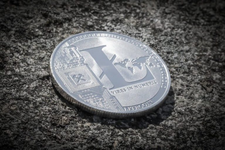 Litecoin Halving is HERE! What will Happen wo Litecoin Price?