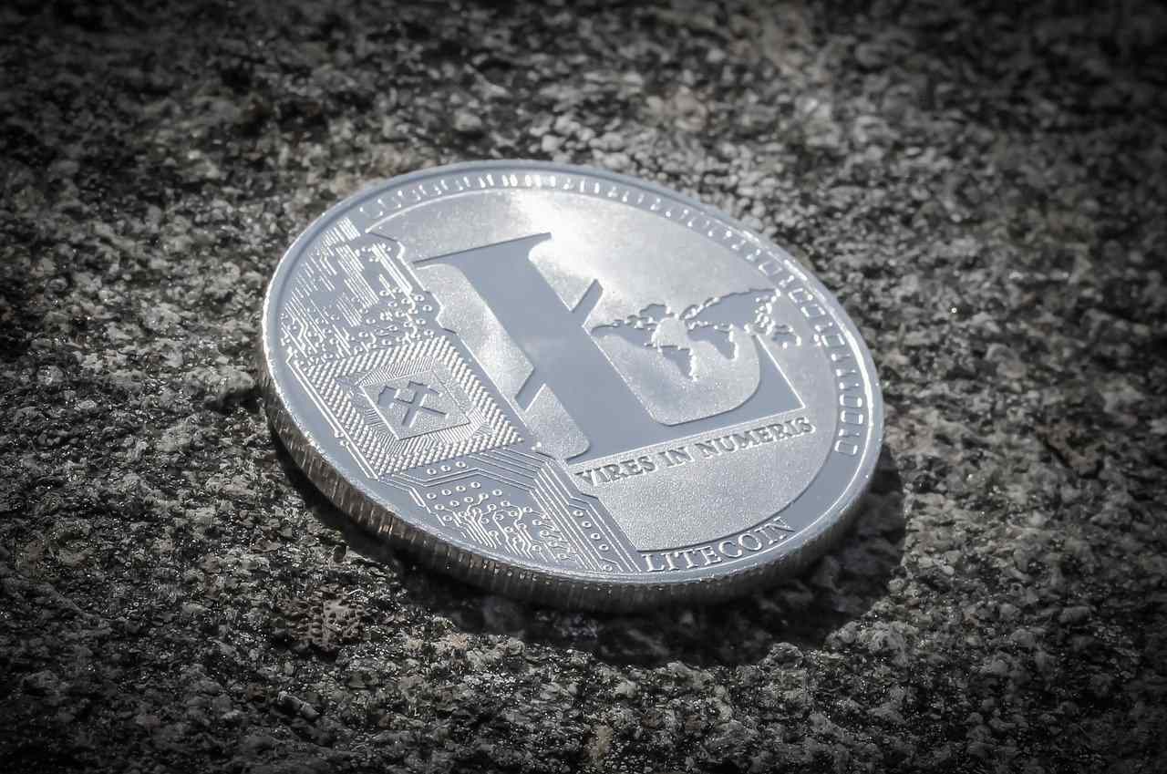 Litecoin investavimas 2022 m kas nors užsidirba pinigų iš bitcoin