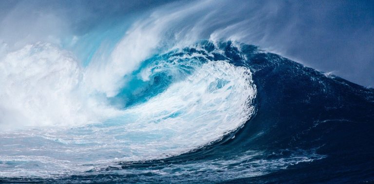 WAVES Price Monumental Climb: Rising from a Market Dip to Energetic Highs